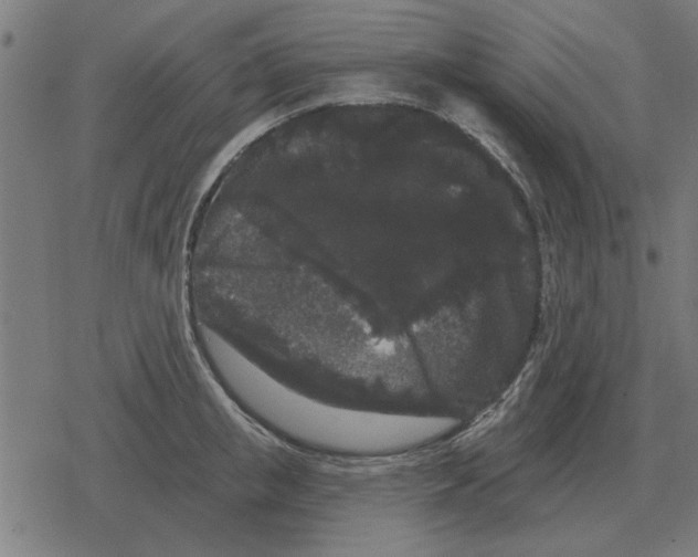 X0000078290853200612011807