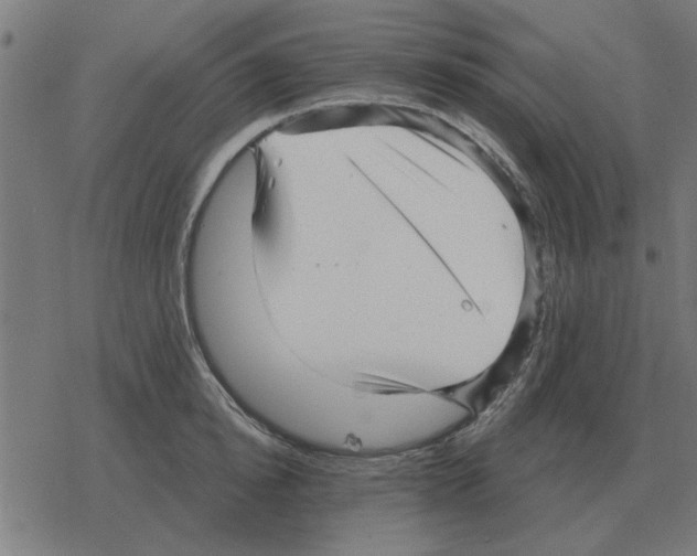 X0000078290854200612011807