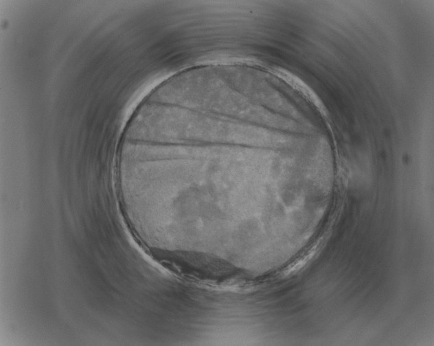 X0000078290855200612011807