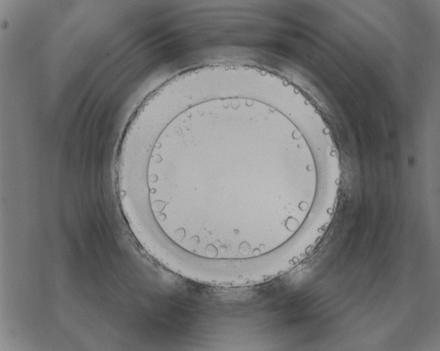 X0000078290856200612011807