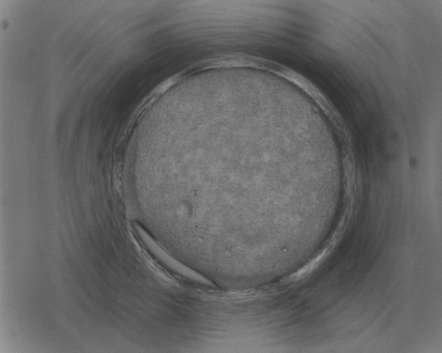 X0000078290857200612011807