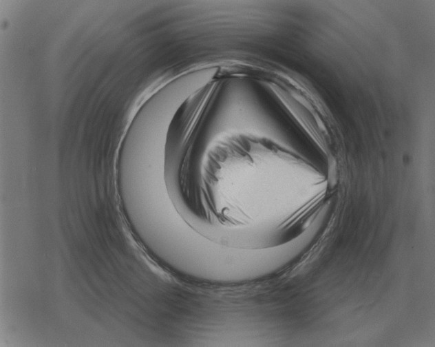 X0000078290858200612011807