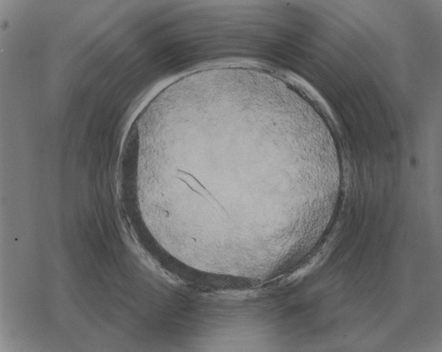 X0000078290860200612011807