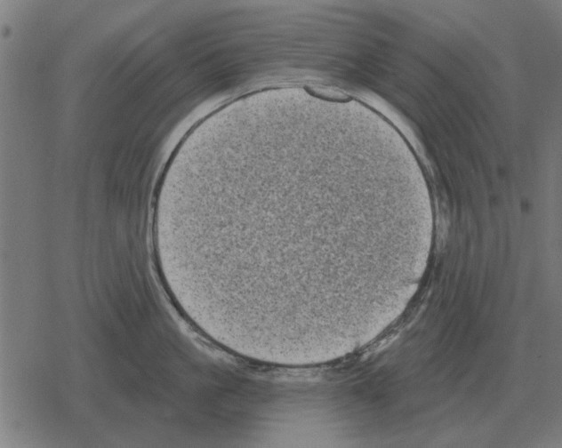 X0000078290861200612011807