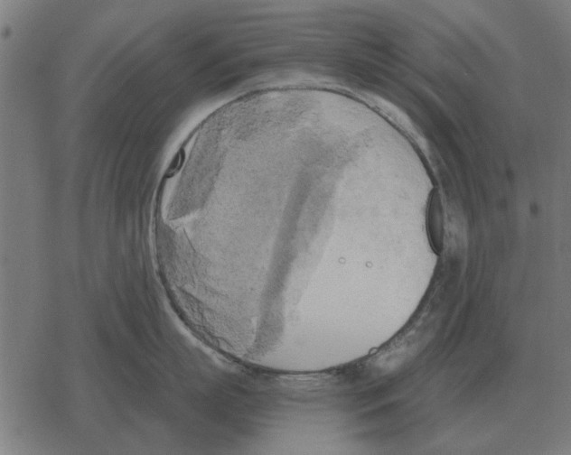 X0000078290863200612011807