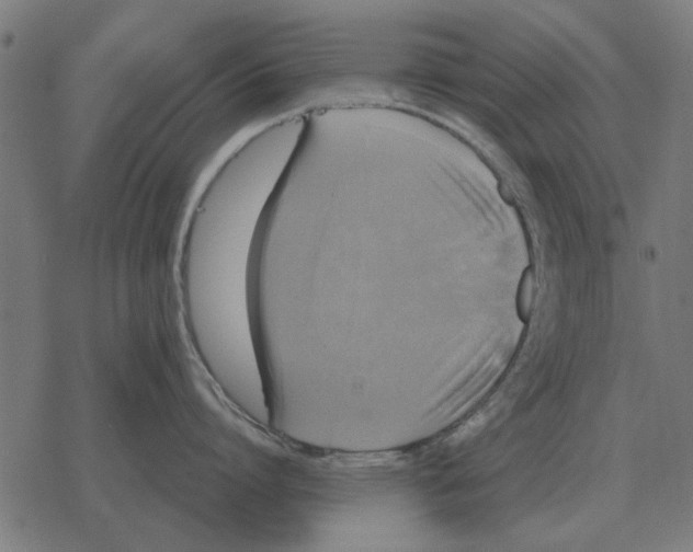 X0000078290864200612011807