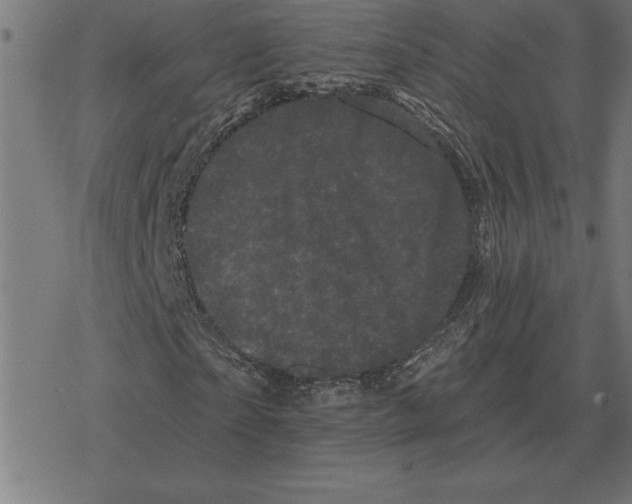 X0000078290865200612011807