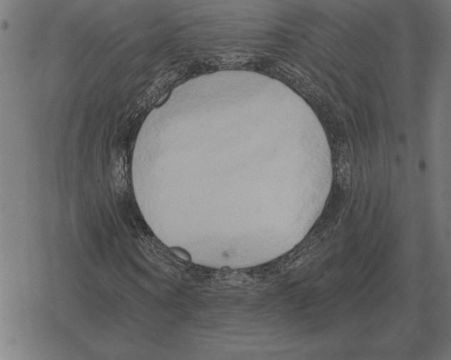 X0000078290866200612011806