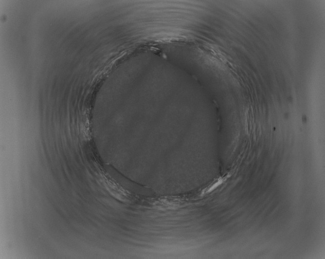 X0000078290868200612011806