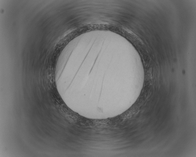 X0000078290870200612011806