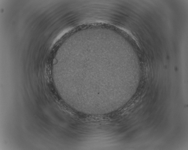 X0000078290871200612011806