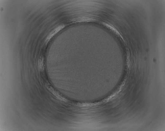 X0000078290873200612011806