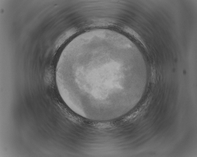 X0000078290874200612011806