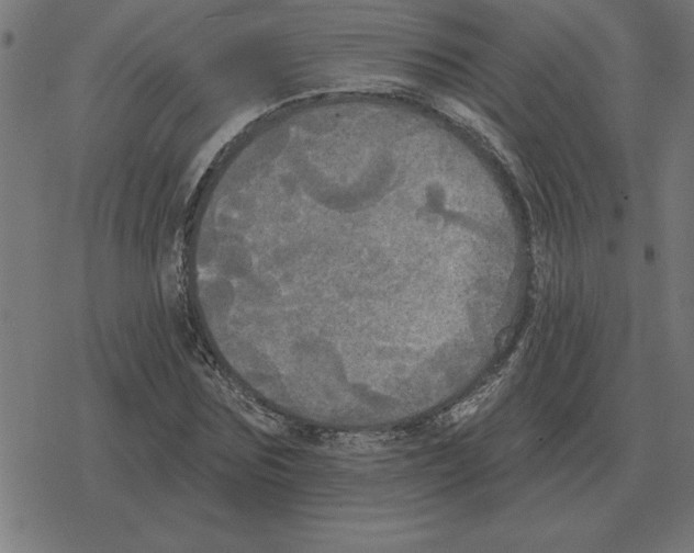 X0000078290875200612011806