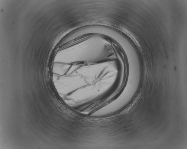 X0000078290876200612011806