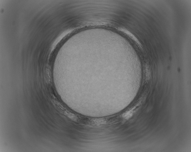 X0000078290878200612011806