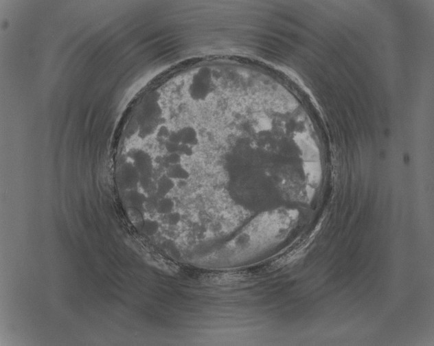 X0000078290879200612011806