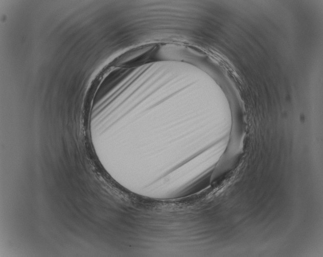 X0000078290880200612011806