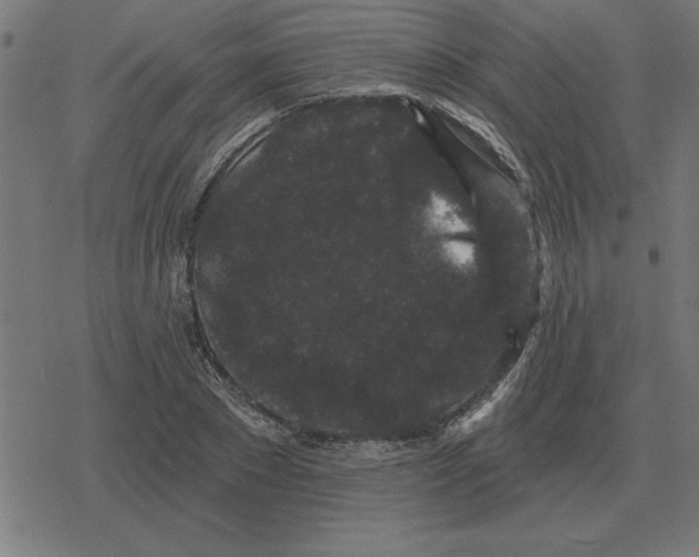 X0000078290881200612011806