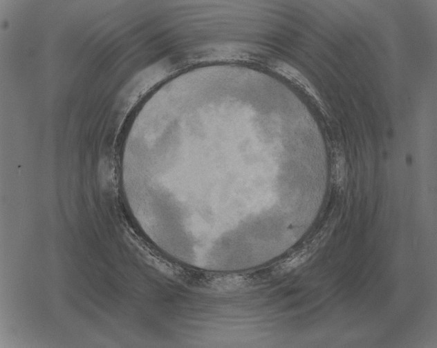 X0000078290882200612011806