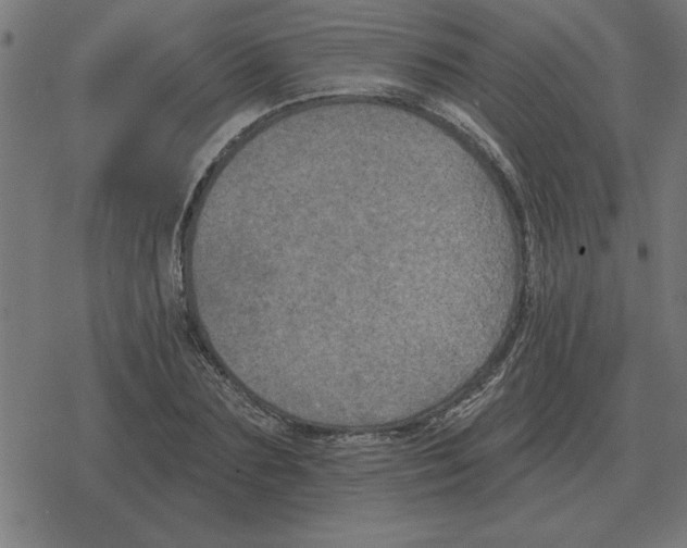 X0000078290883200612011806