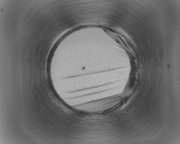 X0000078290884200612011806