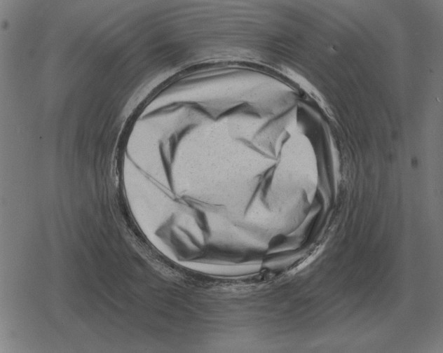 X0000078290885200612011806