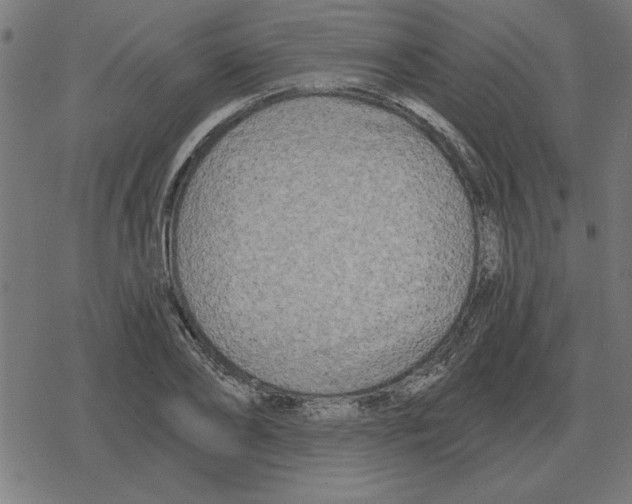 X0000078290886200612011806