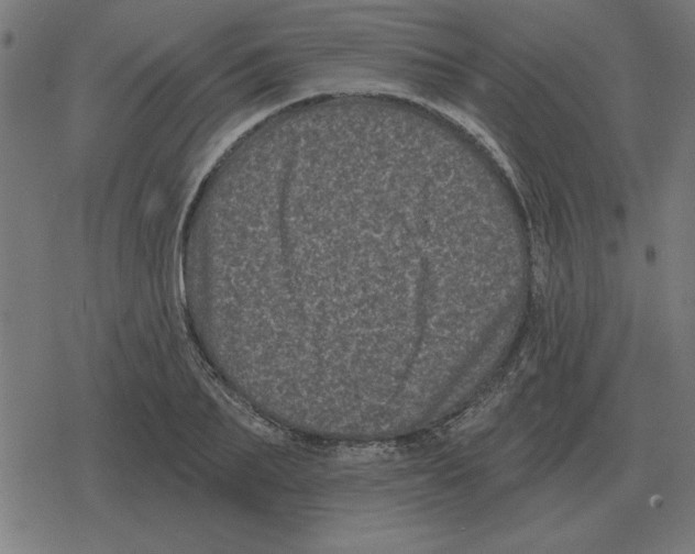 X0000078290887200612011806