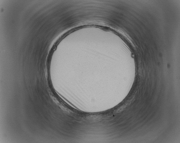 X0000078290888200612011806