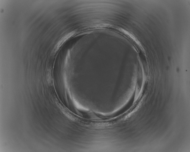 X0000078290889200612011806