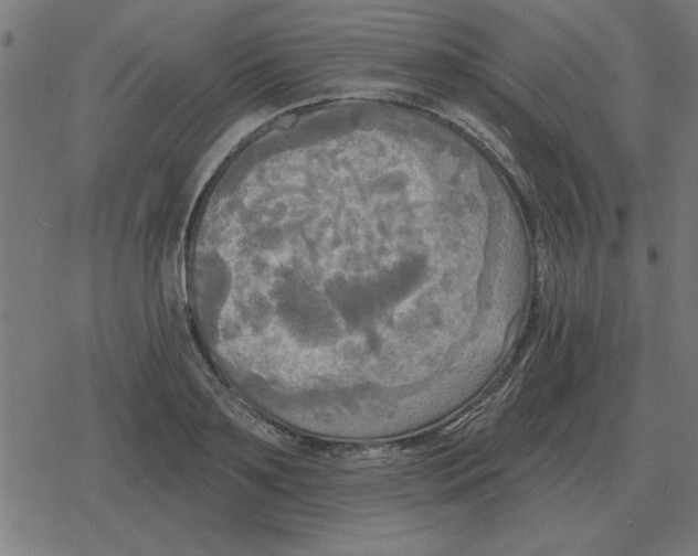 X0000078290891200612011806