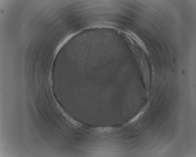 X0000078290893200612011806