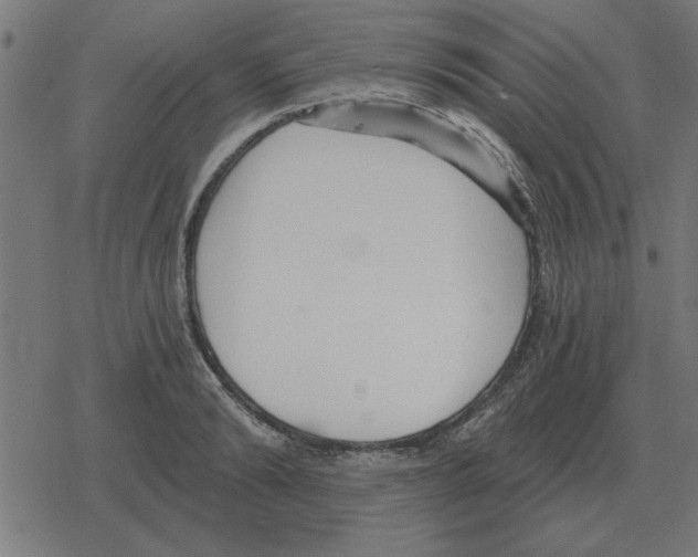 X0000078290894200612011806