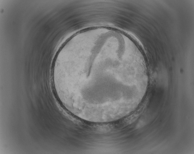 X0000078290895200612011806