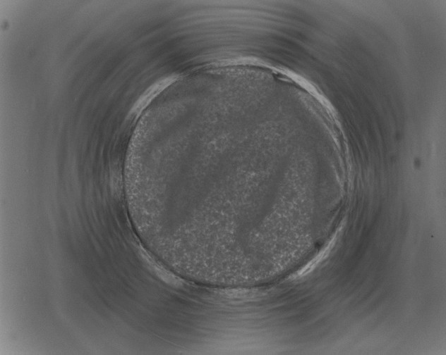 X0000078290897200612011806