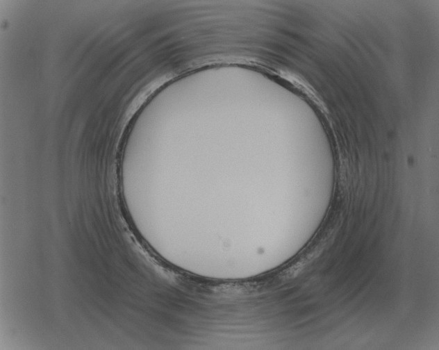 X0000078290898200612011806