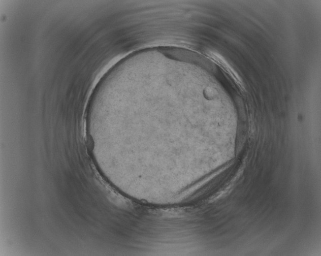 X0000078290900200612011806