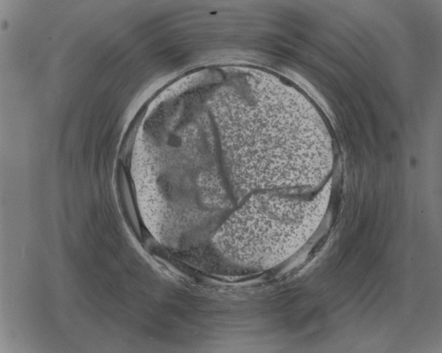 X0000078290901200612011806