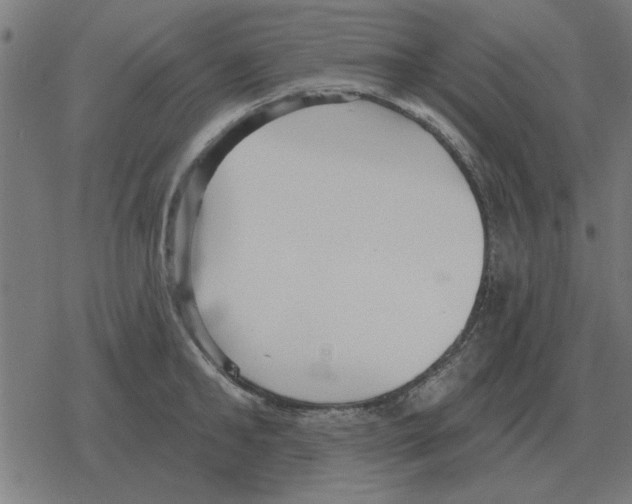 X0000078290902200612011806