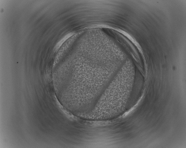 X0000078290905200612011806