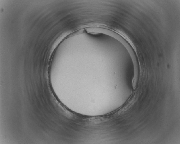 X0000078290906200612011806