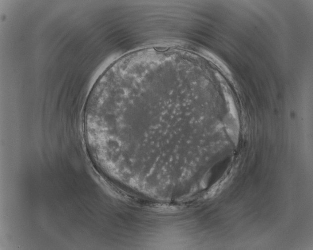 X0000078290907200612011806