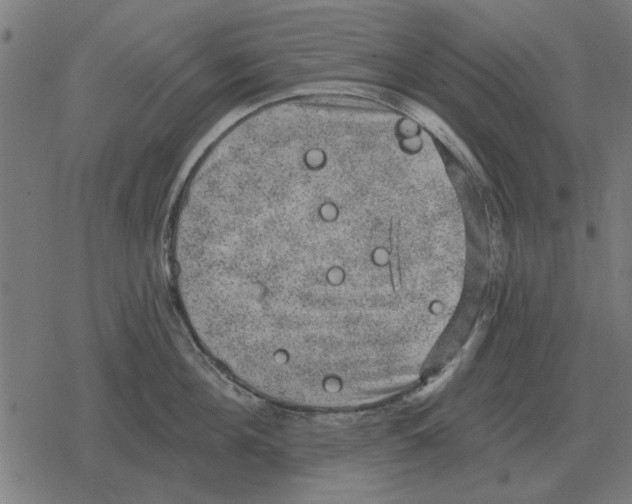 X0000078290908200612011806