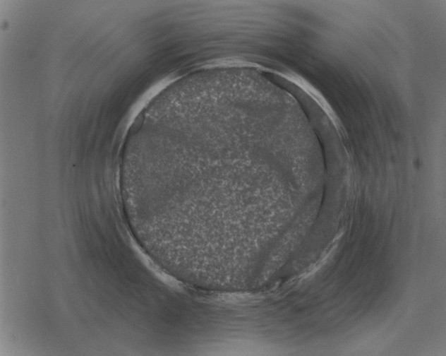 X0000078290909200612011806