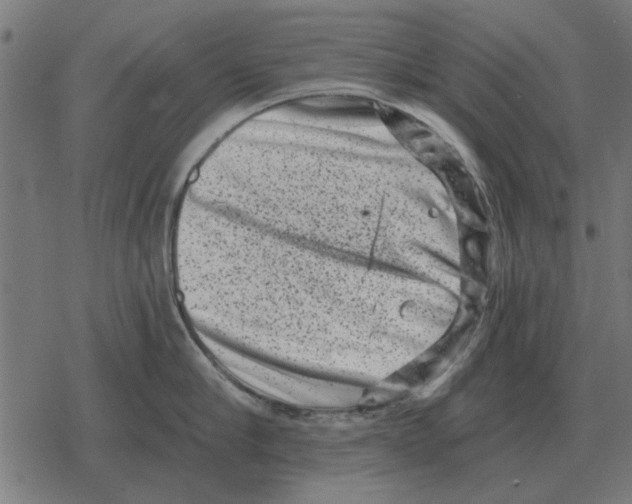 X0000078290910200612011806