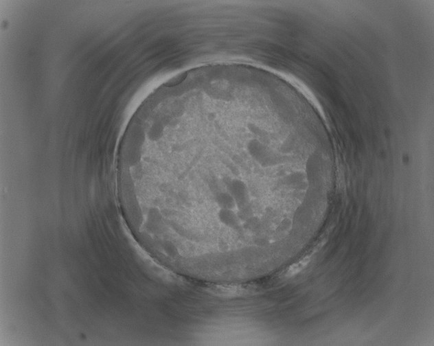 X0000078290911200612011806