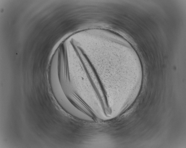 X0000078290912200612011806