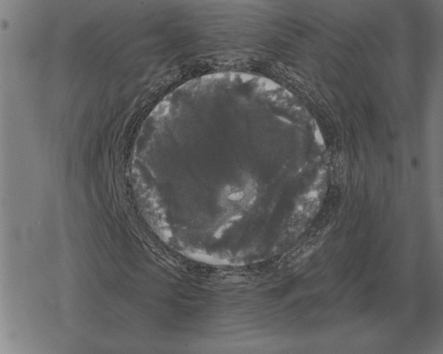 X0000078290913200612011805