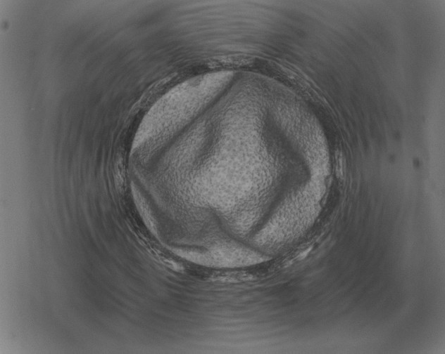 X0000078290915200612011805